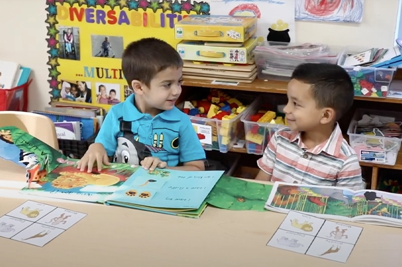 Video Image